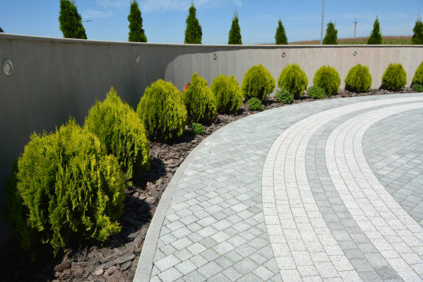 Best Concrete Driveway Paving in USA